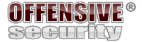 Offensive Security